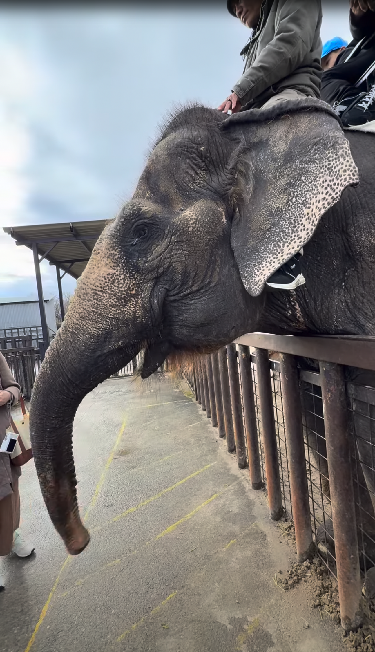 那須サファリパーク 4